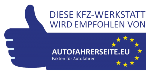 Autofahrerseite.eu-diese-werkstatt-wird-empfohlen (RGB 41,52,131)